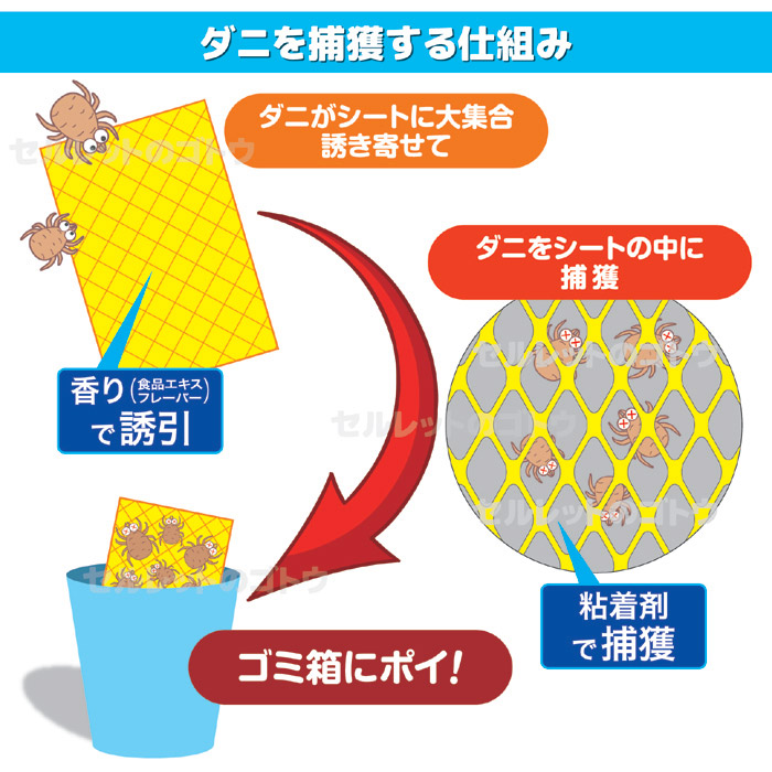 ダニ捕りシート ダニデス 10枚入り ゆうパケットで送料無料
