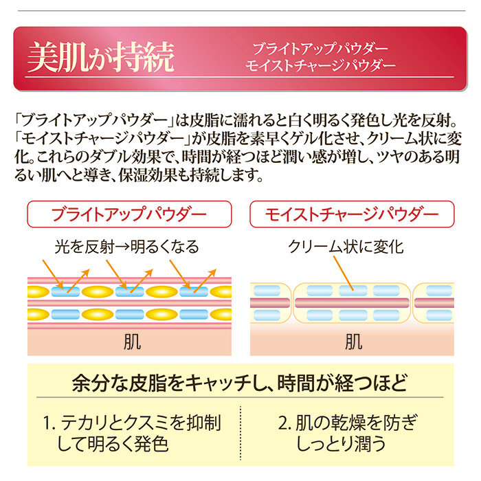 パピリオ化粧品 セラムパウダー ファンデーション EX リフィル(詰替え用) ナチュラル