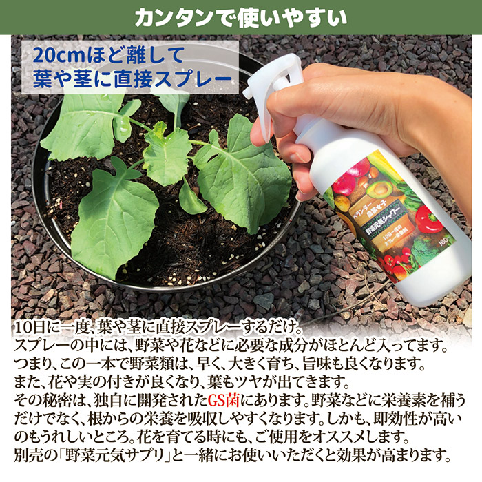 野菜元気シャワー