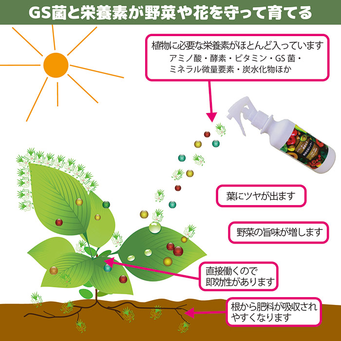 野菜元気シャワー