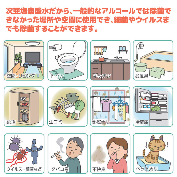 除菌パウダー 業務用ウイレス・シュッシュ 5包入 ゆうパケットで送料無料