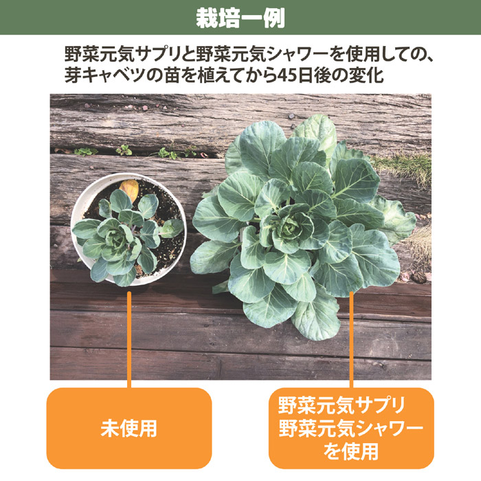 野菜元気サプリ