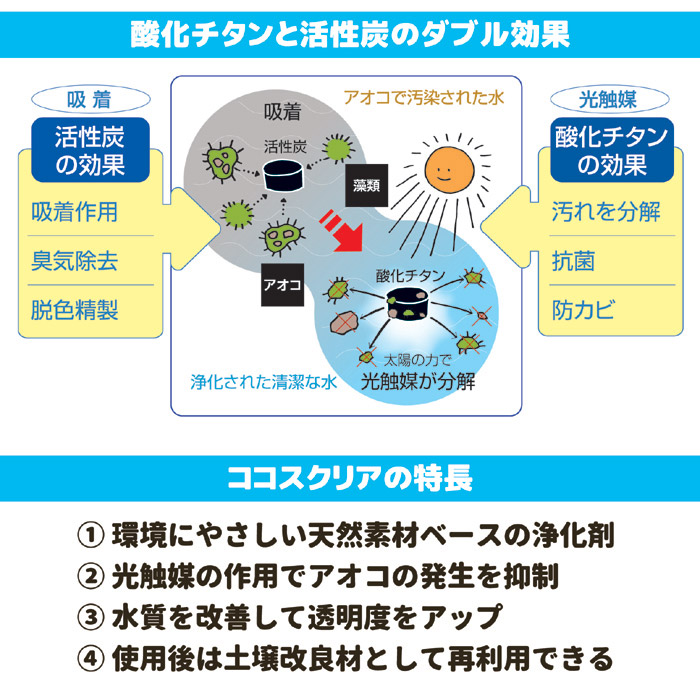 ココスクリア(3個セット)