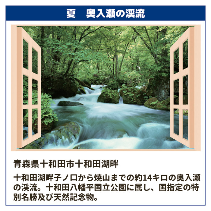 お風呂のポスター 四季彩 春　桜並木