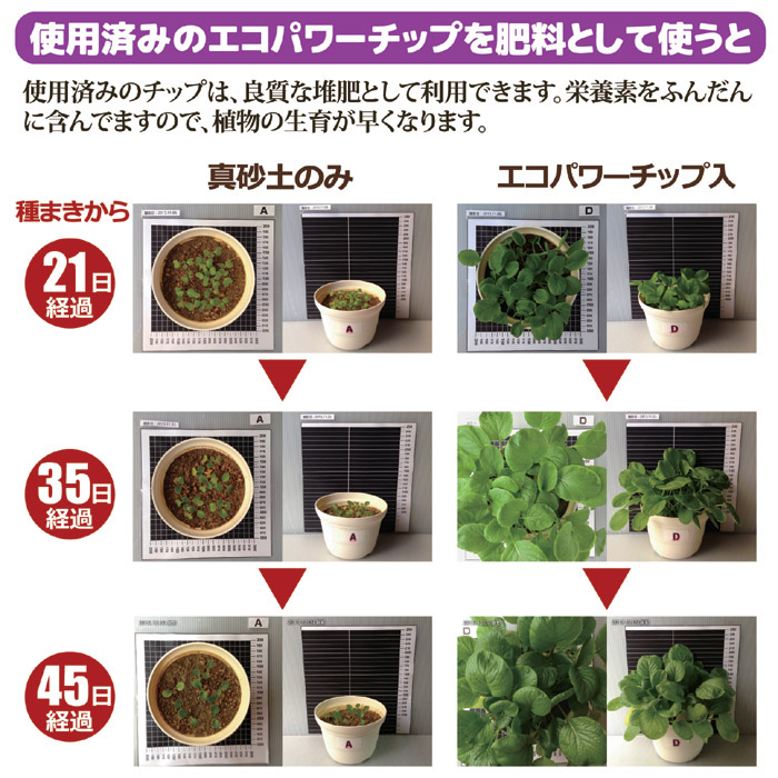 自然にカエルS 基本セット [SKS-101]｜ 株式会社 後藤｜自社商品を